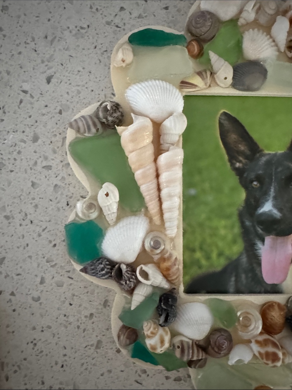 Handcrafted Shell & Sea Glass Frame - Picture 3 of 6